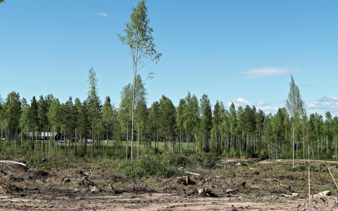 Sjöängen, tomt 2