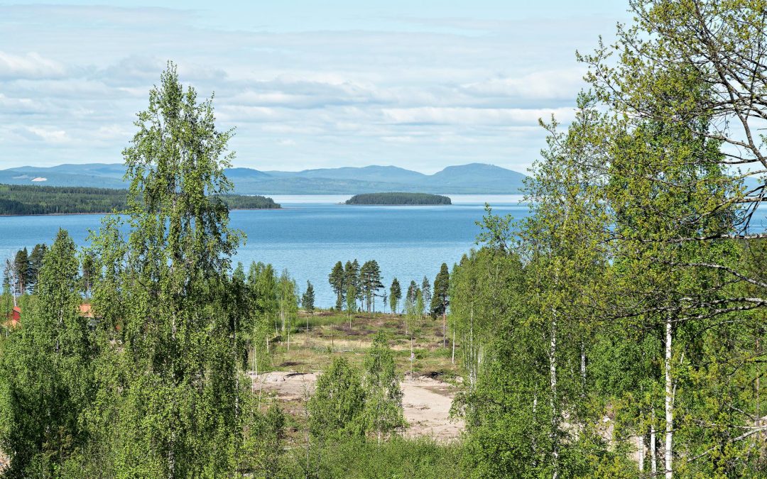 Bergbacken Tällberg 59:2